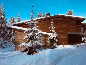 Фотографии Виллы Borovets Chalets г. Боровец (Болгария) №1 Фото Виллы Borovets Chalets г. Боровец 1