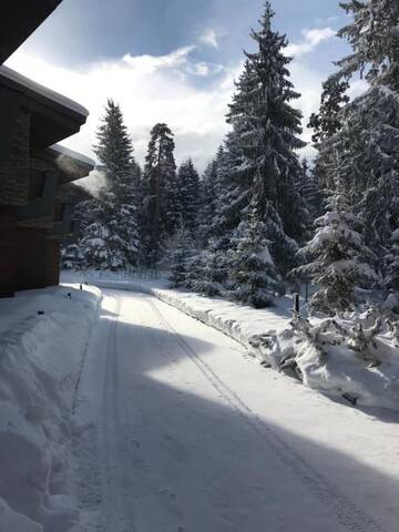 Фотографии Виллы Borovets Chalets г. Боровец (Болгария) №2 Фото Виллы Borovets Chalets г. Боровец 2