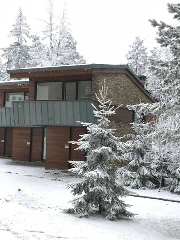 Фотографии Виллы Borovets Chalets г. Боровец (Болгария) №3 Фото Виллы Borovets Chalets г. Боровец 3