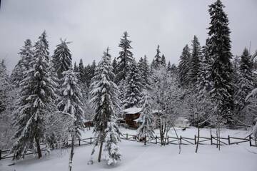 Фотографии Отель Victoria Hotel Borovets - Half Board г. Боровец (Болгария) №3 Фото Отель Victoria Hotel Borovets - Half Board г. Боровец 3