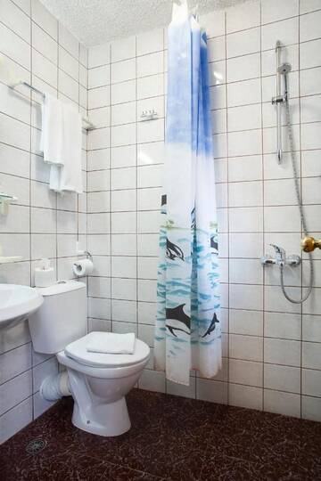 Фото номера Одноместный номер — Полупансион Отель Victoria Hotel Borovets - Half Board г. Боровец 5