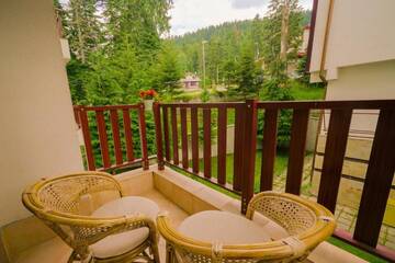 Фото номера Номер-студио Апарт-отели Apart Hotel Flora Residence Daisy г. Боровец 8