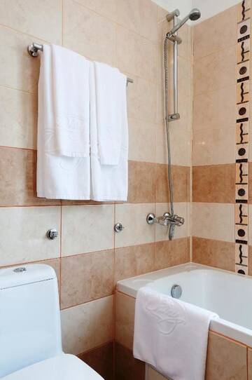Фото номера Номер-студио Апарт-отели Apartments Flora-Daisy г. Боровец 20